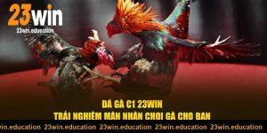 Đấu trường Đá gà c1 23win mãn nhãn