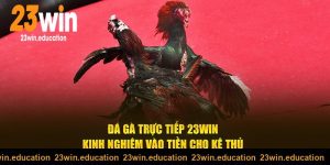 Xem đá gà trực tiếp tại 23win