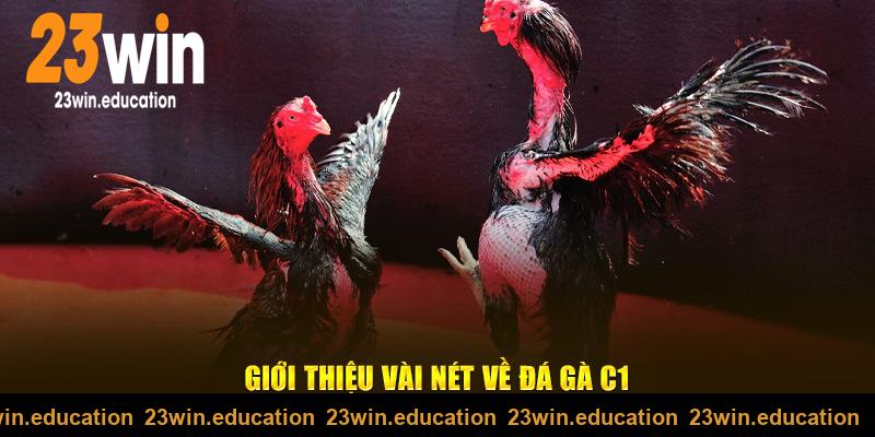 Giới thiệu vài nét về đá gà C1 23win