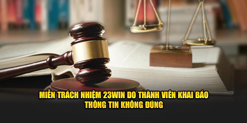 Miễn trách nhiệm 23WIN do thành viên khai báo sai thông tin